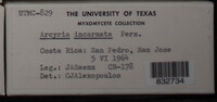 Image Associated With the Occurence